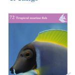 OATA Butterflyfish and Tangs care sheet