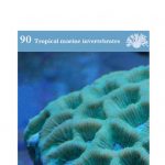 OATA Corals care sheet