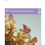 OATA Freshwater plants information sheet