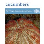 OATA Starfish, sea urchins and sea cucumbers care sheet